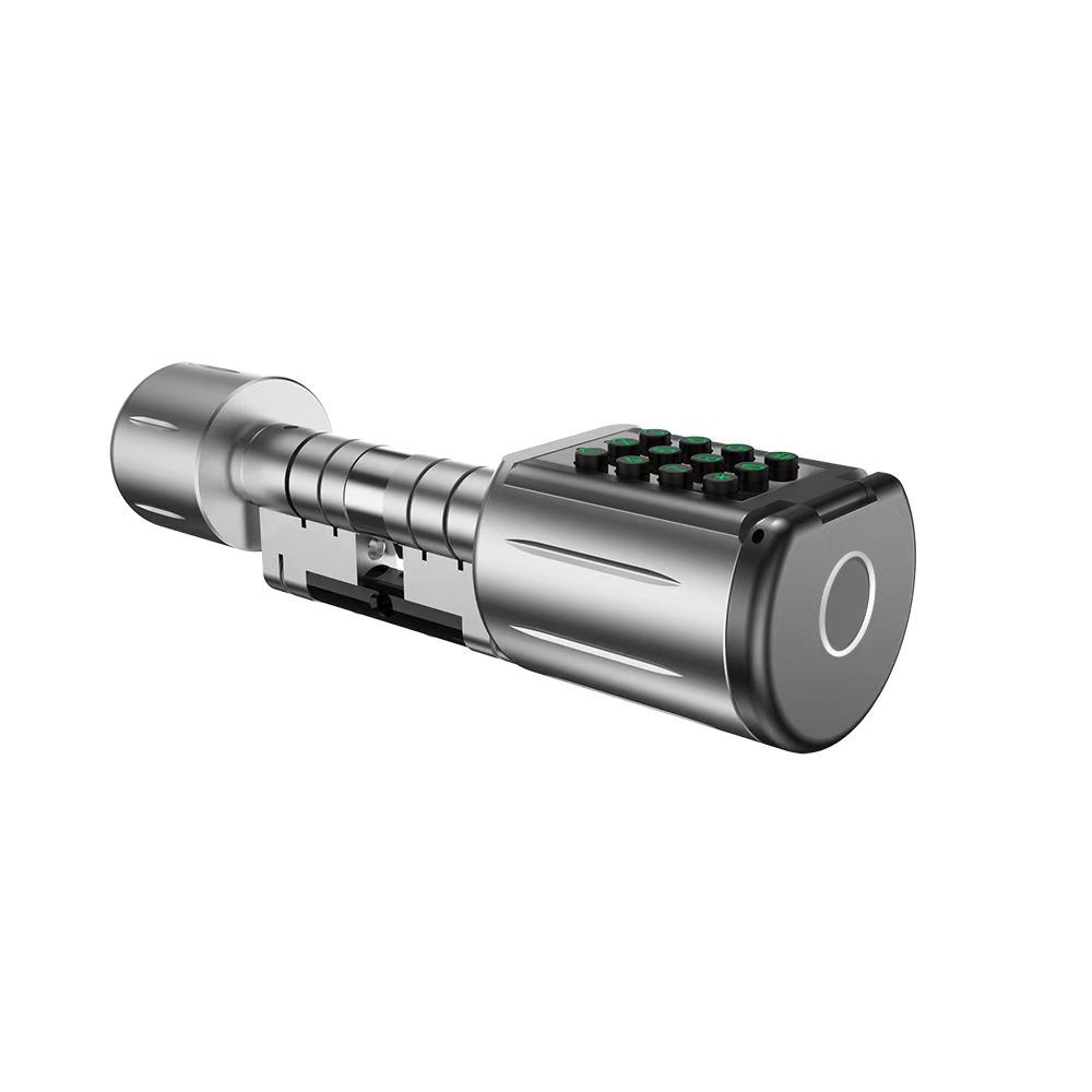 DESO03 Electronic Cylinder